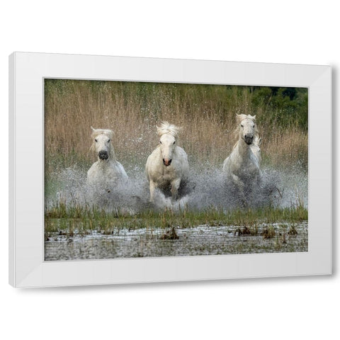 Coming in  to the dry White Modern Wood Framed Art Print by Zvelebil PhD, Marketa