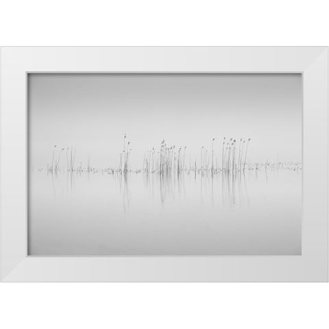 Simplicity White Modern Wood Framed Art Print by Pettersson, Benny