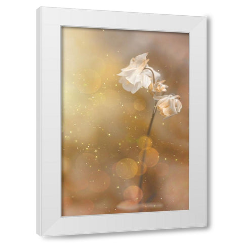 Golden Hour White Modern Wood Framed Art Print by Kiral, Cicek