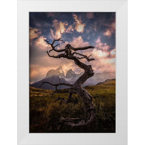 Dead Tree White Modern Wood Framed Art Print by Zhang, Dennis