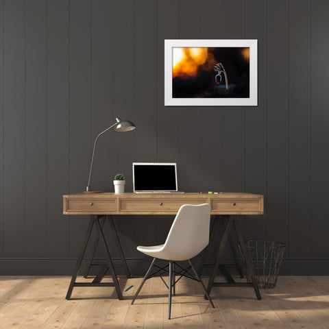 Pulsatilla Pratensis White Modern Wood Framed Art Print by Rozehnal, Jan