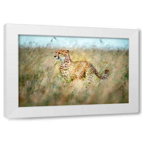 Secret Way White Modern Wood Framed Art Print by Roshkumar