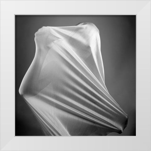 In the cocoon White Modern Wood Framed Art Print by Arabzadeh, Abbas