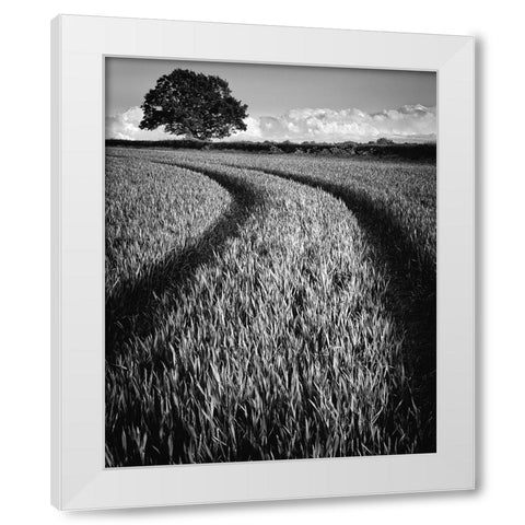 Tree at sunset White Modern Wood Framed Art Print by Jones-Davies, Russell