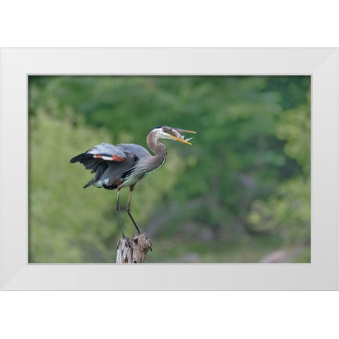 A Good Place To Enjoy The Meal White Modern Wood Framed Art Print by Xu, Sheila