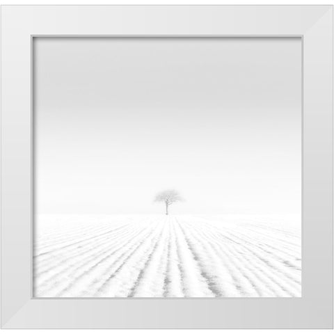 Cold White Modern Wood Framed Art Print by Nodeh, Mostafa