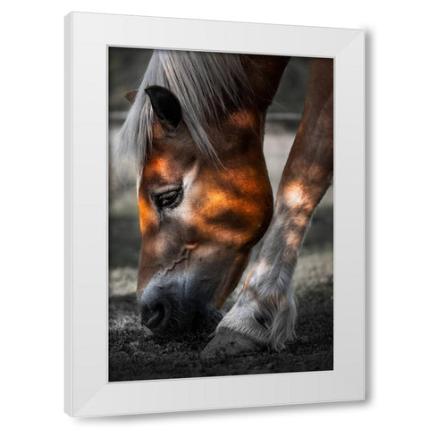 Filtered Light White Modern Wood Framed Art Print by Wilson, Francis