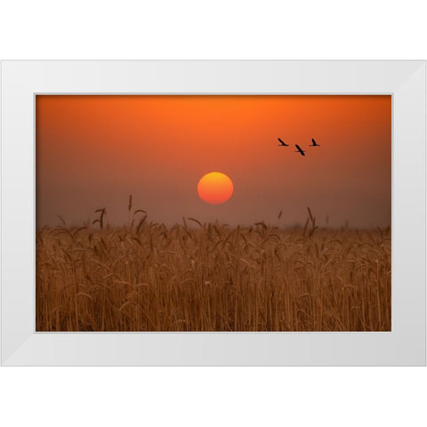 End Day White Modern Wood Framed Art Print by Bar Or, Eyal