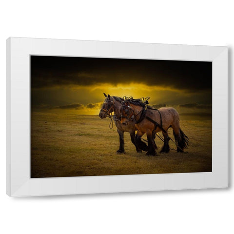 Horse III White Modern Wood Framed Art Print by Philippe, Laruelle