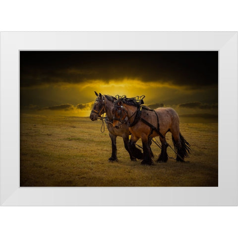 Horse III White Modern Wood Framed Art Print by Philippe, Laruelle