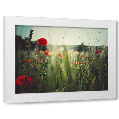 Spirit of the fields White Modern Wood Framed Art Print by Margau, Delphine