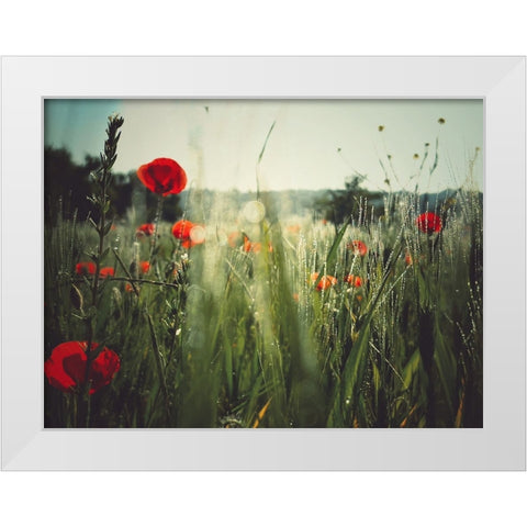 Spirit of the fields White Modern Wood Framed Art Print by Margau, Delphine