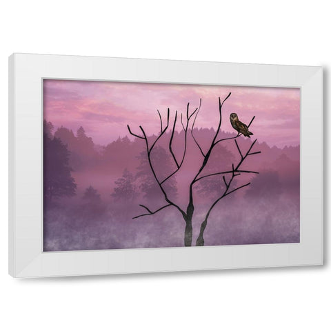 Pink Sky in the Morning White Modern Wood Framed Art Print by A. Fletcher, Barbara