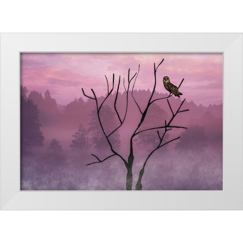Pink Sky in the Morning White Modern Wood Framed Art Print by A. Fletcher, Barbara