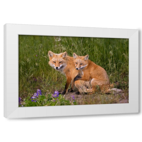 Love White Modern Wood Framed Art Print by W, Joanna