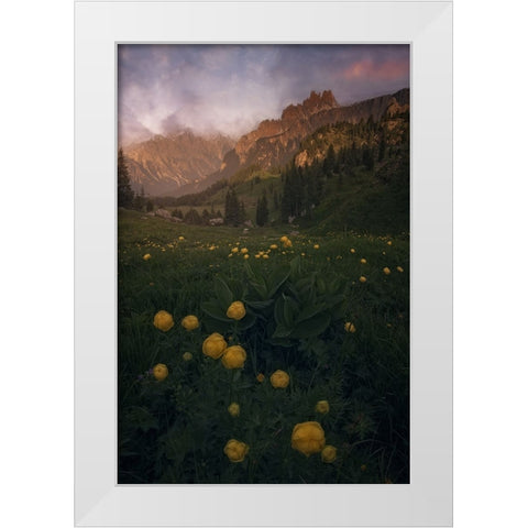 Dolomiti White Modern Wood Framed Art Print by Martin Castan, David