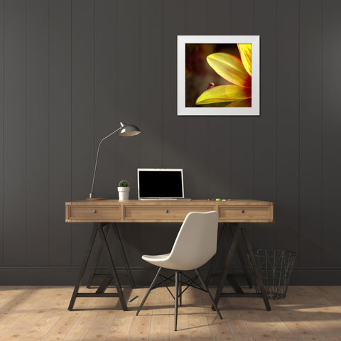 Untitled White Modern Wood Framed Art Print by Cseresnjes, Anna