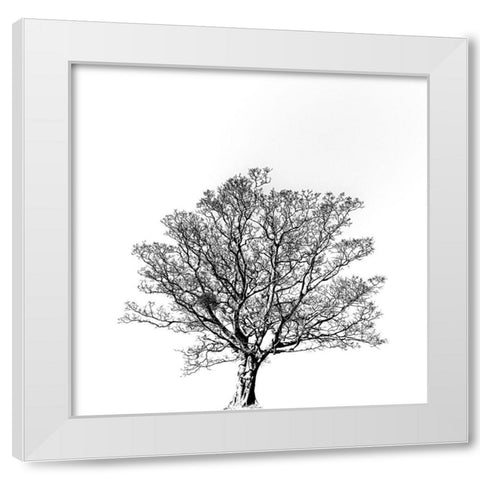 Overflowing vitality. White Modern Wood Framed Art Print by Hisamitsu, Yuusuke