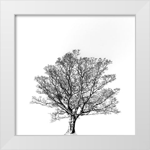 Overflowing vitality. White Modern Wood Framed Art Print by Hisamitsu, Yuusuke