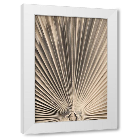 Solaris 07 White Modern Wood Framed Art Print by 1x Studio III