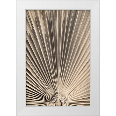 Solaris 07 White Modern Wood Framed Art Print by 1x Studio III