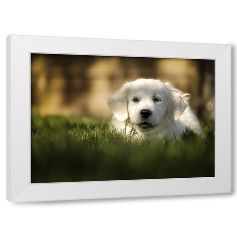 Jayda White Modern Wood Framed Art Print by Heggemann, Christiane