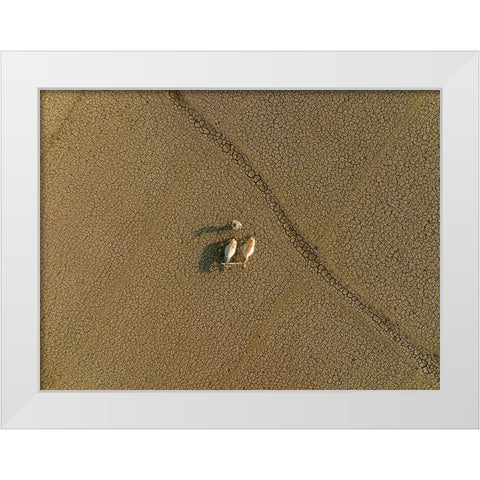 Dried Land White Modern Wood Framed Art Print by Khan Ronnie, Azim