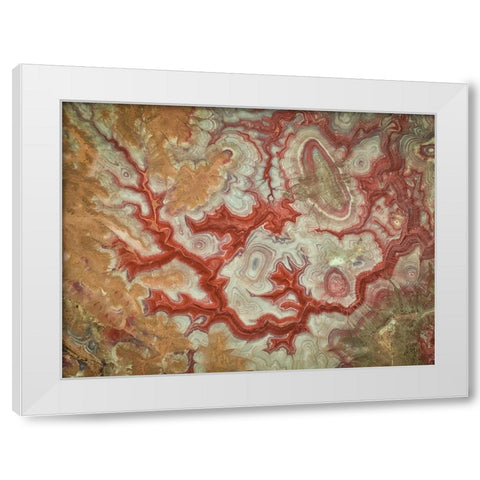 Red Dragon of The Badlands White Modern Wood Framed Art Print by Zheng, Michael