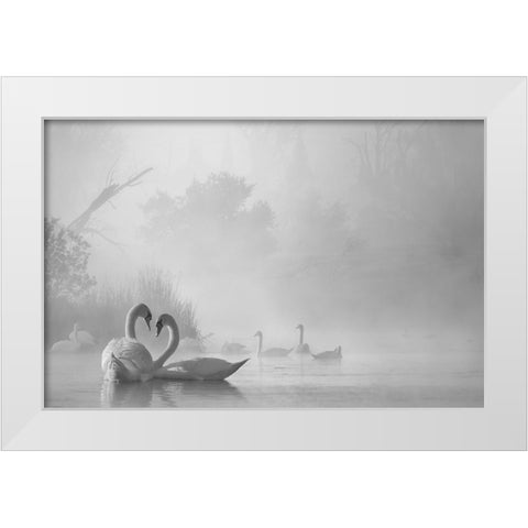 morning fog on swan lake White Modern Wood Framed Art Print by Liu, Dawei