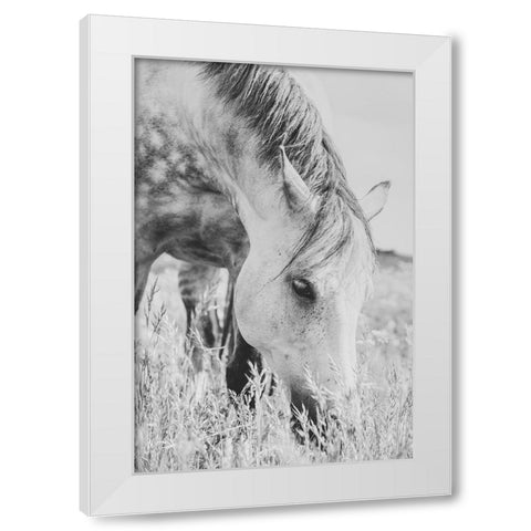 stallion White Modern Wood Framed Art Print by De Jong, Arendina