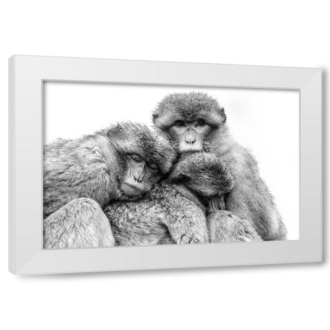 Keep together White Modern Wood Framed Art Print by de Jong, Arendina