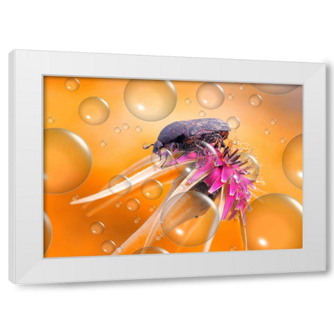 Heat Wave... White Modern Wood Framed Art Print by Dufour, Thierry