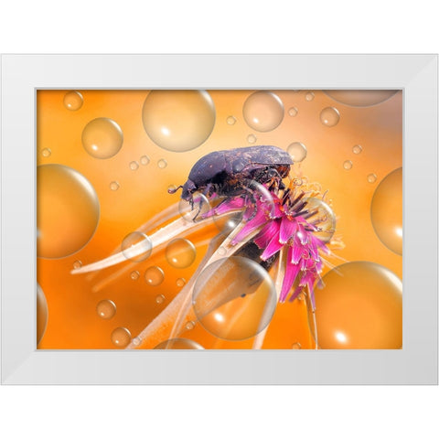 Heat Wave... White Modern Wood Framed Art Print by Dufour, Thierry