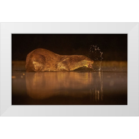 Otter White Modern Wood Framed Art Print by Li, Min