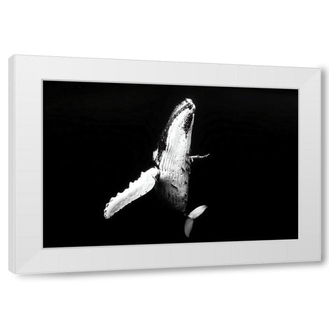 Whale season White Modern Wood Framed Art Print by Melesan, Serge