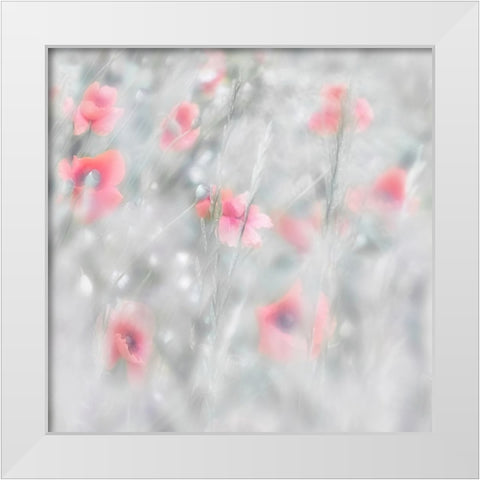Poppies White Modern Wood Framed Art Print by Stas, Marie-Anne