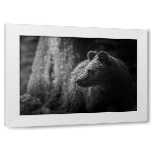 Last light White Modern Wood Framed Art Print by Venier, Giovanni