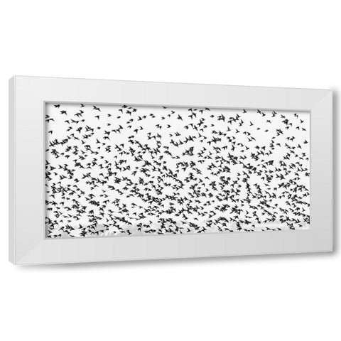 stars White Modern Wood Framed Art Print by Hermann, Uschi