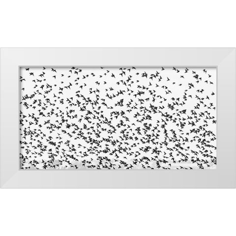 stars White Modern Wood Framed Art Print by Hermann, Uschi