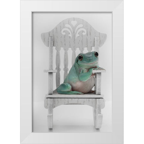 Rocking Whites Tree Frog White Modern Wood Framed Art Print by D Lester, Linda