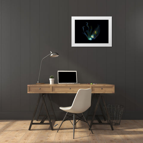 Night Elf (Squid) White Modern Wood Framed Art Print by Y Lin, Ryan