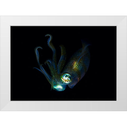 Night Elf (Squid) White Modern Wood Framed Art Print by Y Lin, Ryan