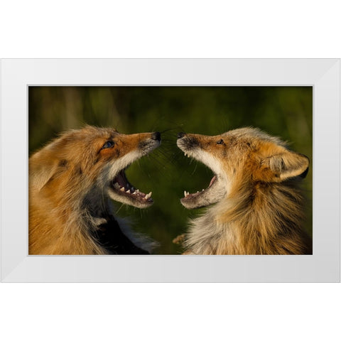 Singing White Modern Wood Framed Art Print by W, Joanna