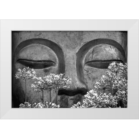 What a scent! White Modern Wood Framed Art Print by Silva, Miguel