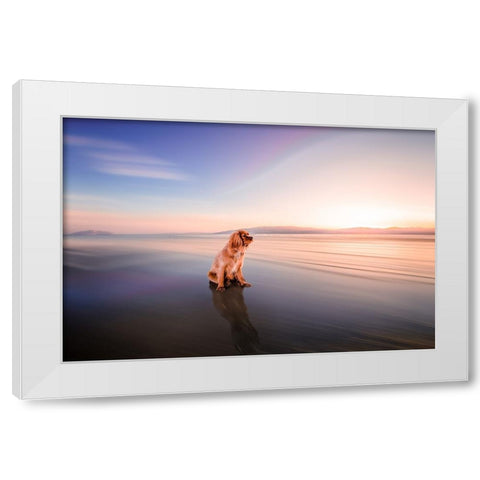 Cookie White Modern Wood Framed Art Print by Zielinska, Barbara