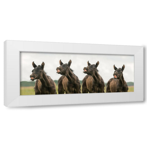 Say cheese White Modern Wood Framed Art Print by Weerink, Celine