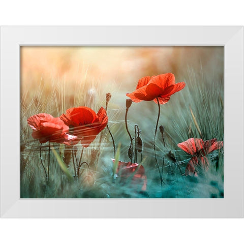 The red poppies White Modern Wood Framed Art Print by Panaana
