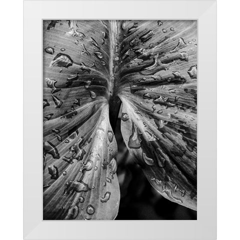 Leafy Looks White Modern Wood Framed Art Print by Allen, Elizabeth