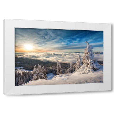 WinterTime White Modern Wood Framed Art Print by Mirica, Dan