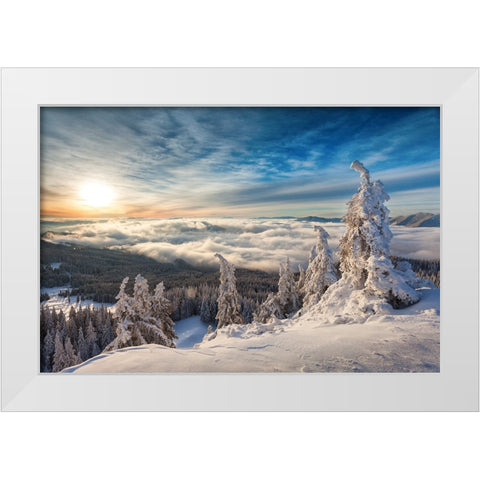 WinterTime White Modern Wood Framed Art Print by Mirica, Dan